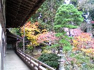 K05.JPG - 15,927BYTES